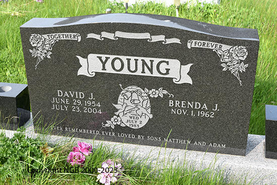 David J. Young