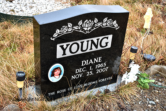 Diane Young