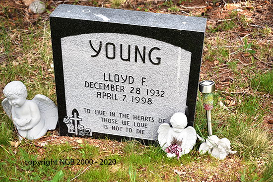 Lloyd F. Young