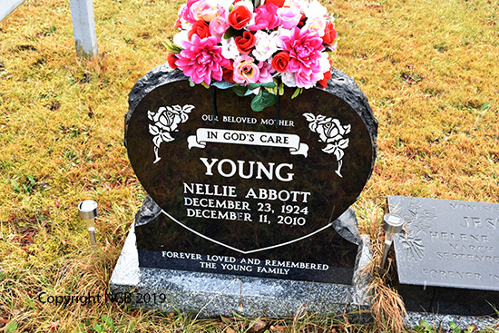 Nellie Abbott Young