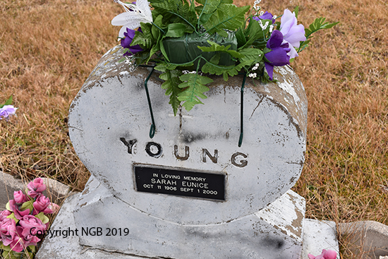 Sarah Eunice Young