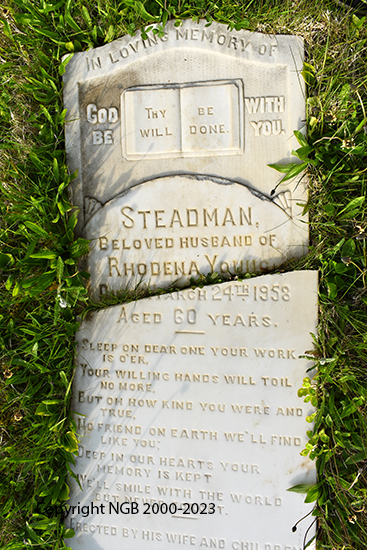 Steadman Young