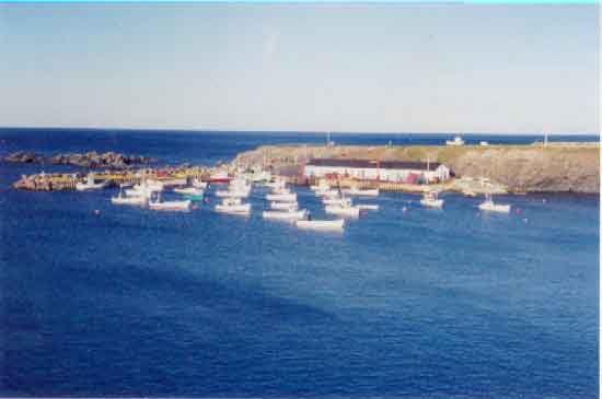 Ochre Pit Cove Breakwater