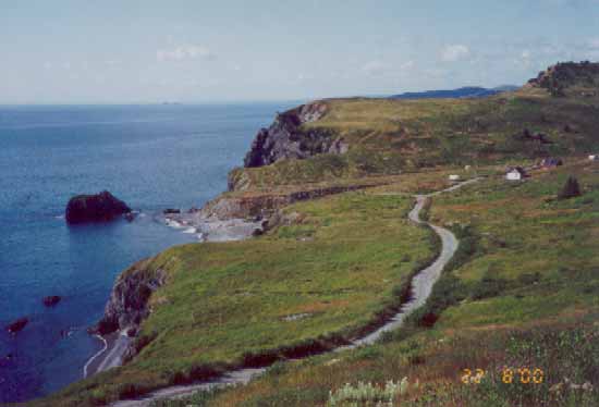 Spout Cove