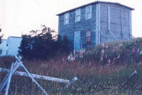 Spout Cove Old House #2