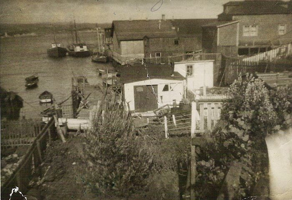 Ring Bolt Cove -1943