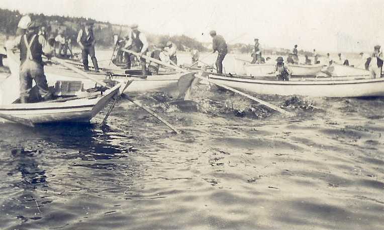 Men at Work in Princeton