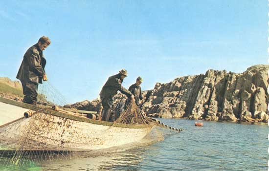 Fishing under Lighthouse