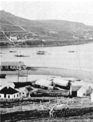 Pool Harbor Looking Toward Gaze From Pool (1890's)