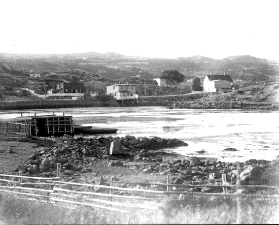 Avondale North c1940's