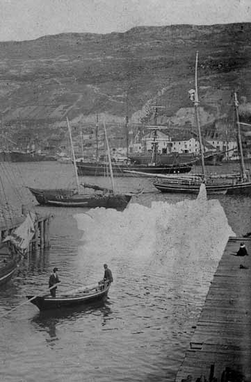 Iceberg in St. John's Harbour - 1898