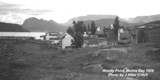 Shoal Cv Area, Bonne Bay