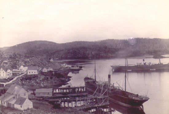 Ore Ship at Pilley's Island Harbour