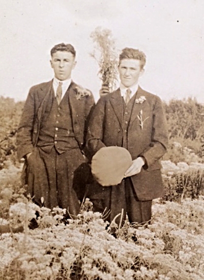 Twillingate District