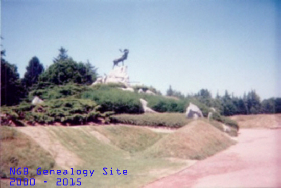 Beaumont Hamel Caribou