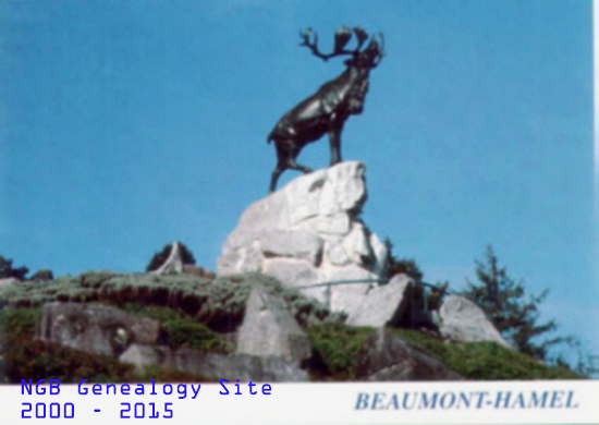 Beaumont Hamel Caribou
