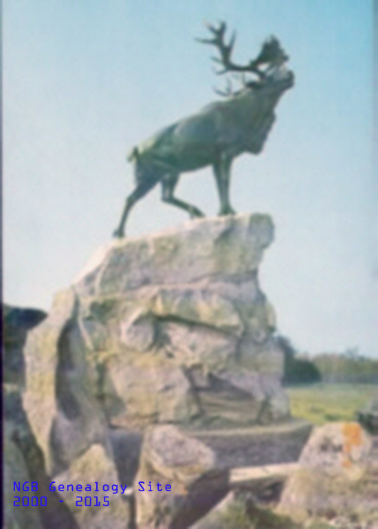 Beaumont Hamel Caribou