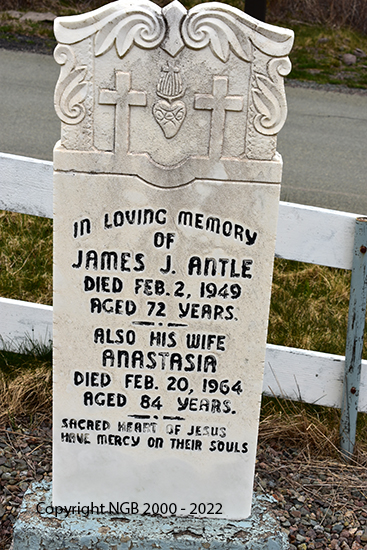 James & nAnastasiz Antle