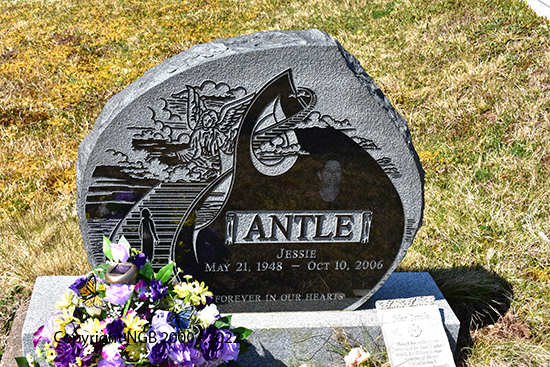 Jessie Antle