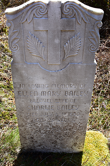 Ellen Mary Bailey