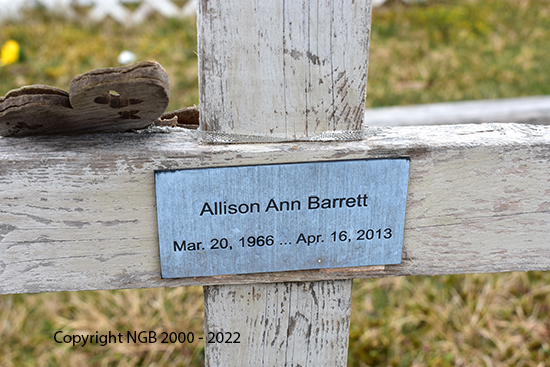 Allison Ann Barrett