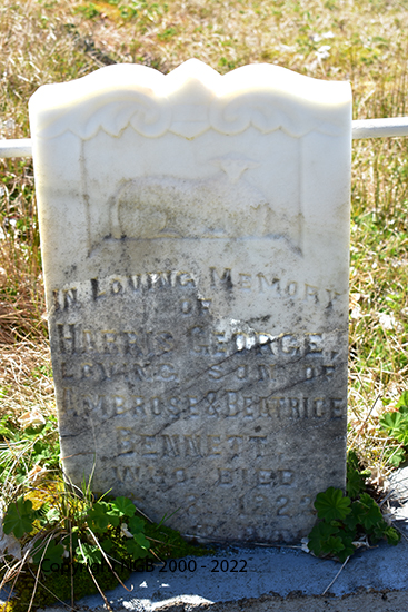 Harris George Bennett