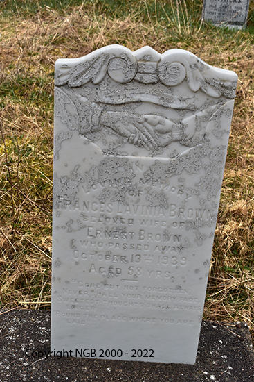 Frances Lavinia Brown