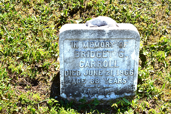Bridget G. CArroll