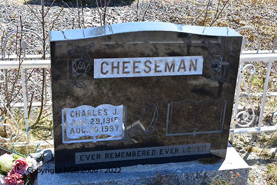 Charles J. Cheeseman