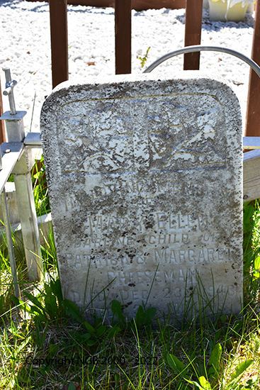 Mary Ellen Cheeseman