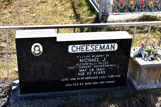 Michael J. Cheeseman