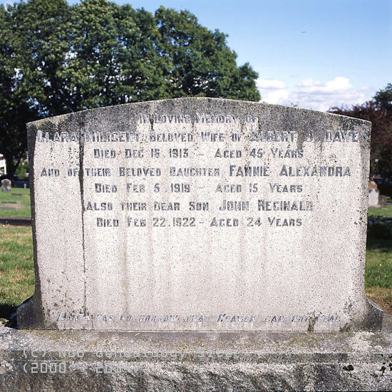 Clara Milicent, Fannie Alexandra & John Reginald Dawe