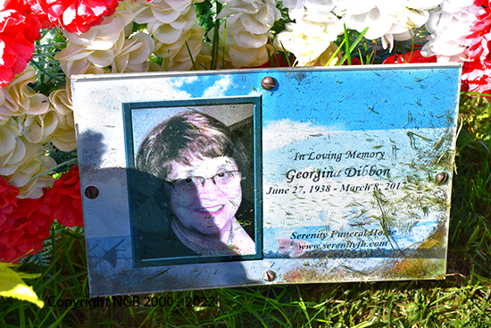 John & Georgina ibbon