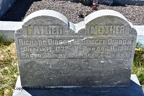 Richard & Bridget Dibbon