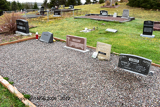 Doberman Family Plott