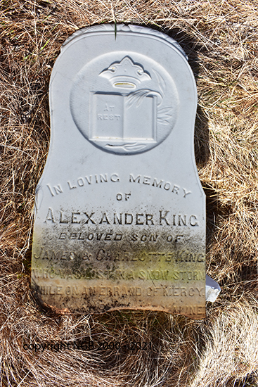Alexander King