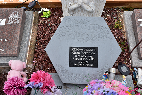 Clara Veronica King-Mullett