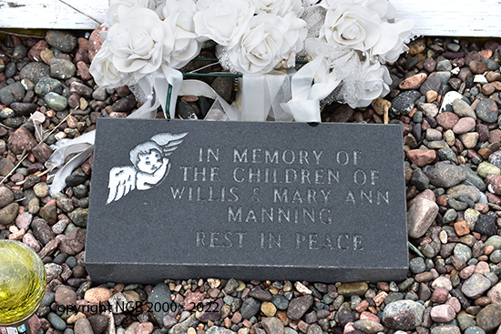Willis & Mary Ann Manning Children