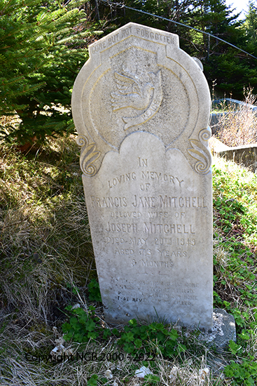 Francis Jane Mitchell