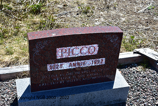 Anni Picco