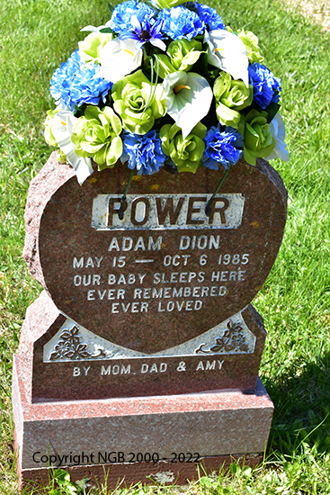 Adam Dion <power</p>