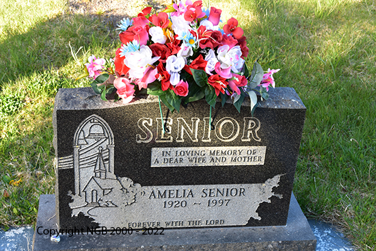 Amelia Senior