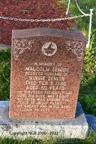 Malcolm Senior