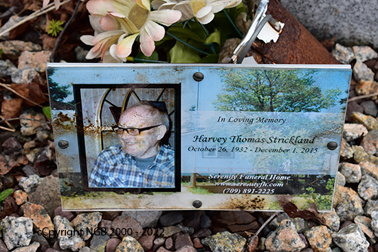 Harvey Thomas Strickland