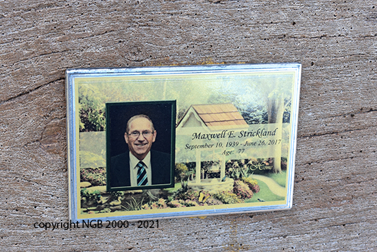 Maxwell Edward Strickland