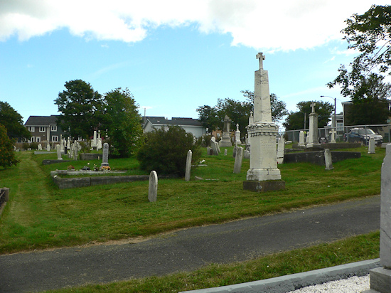 Belvedere RC Cemetery - Section VIII