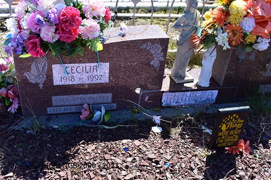 Robert & Cecilia Whiffen